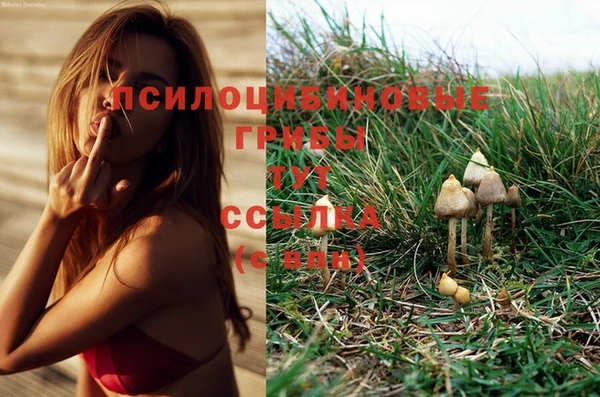не бодяженный Приозерск