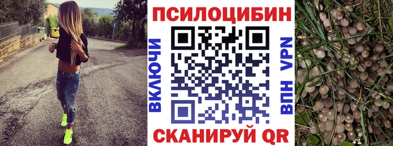 Галлюциногенные грибы мухоморы  blacksprut вход  Асбест 